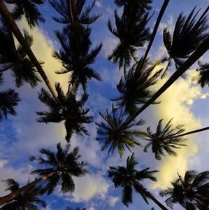 Meet your Posher, Polina